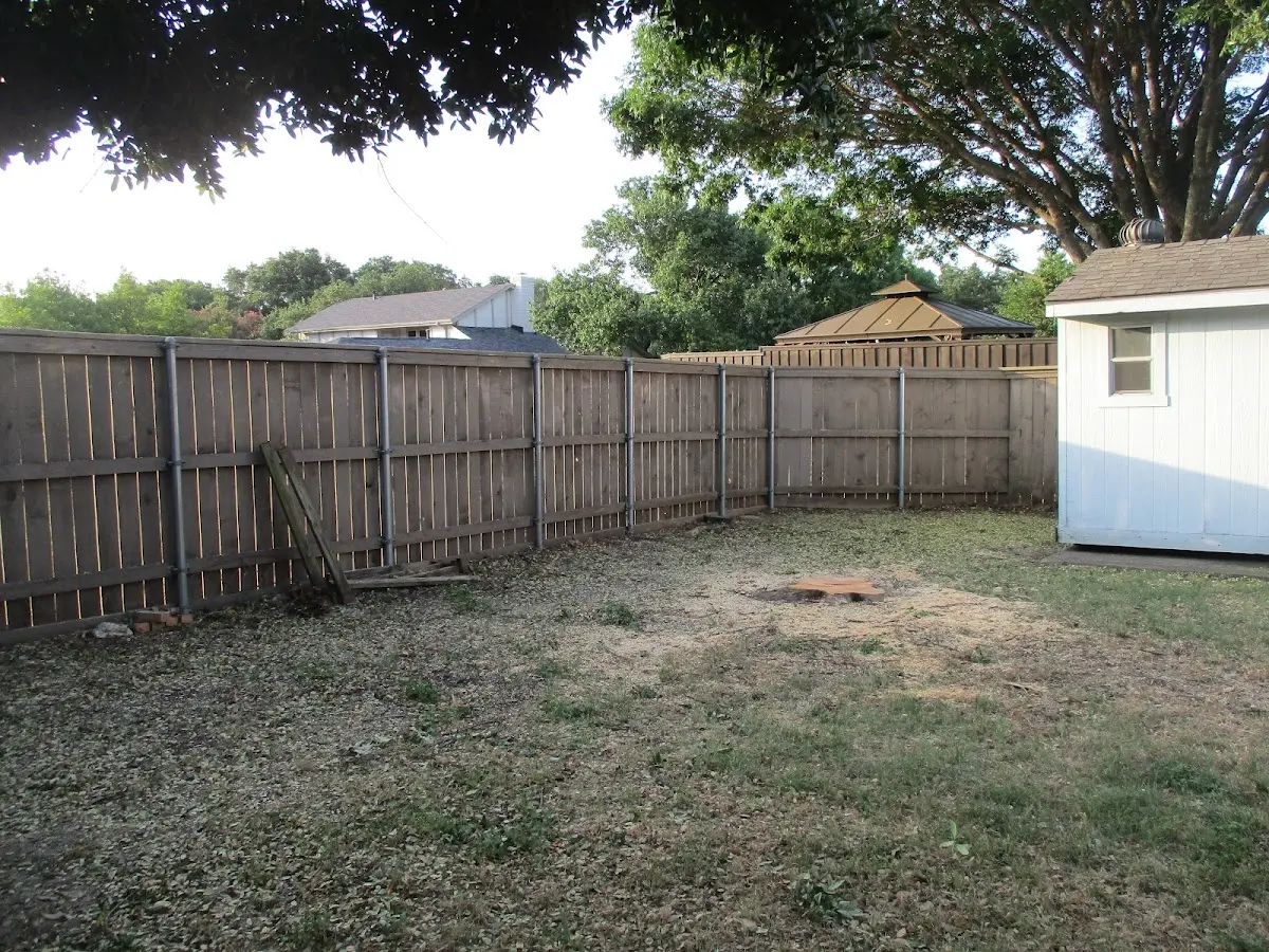 Cleared yard after professional tree removal in Mount Angel